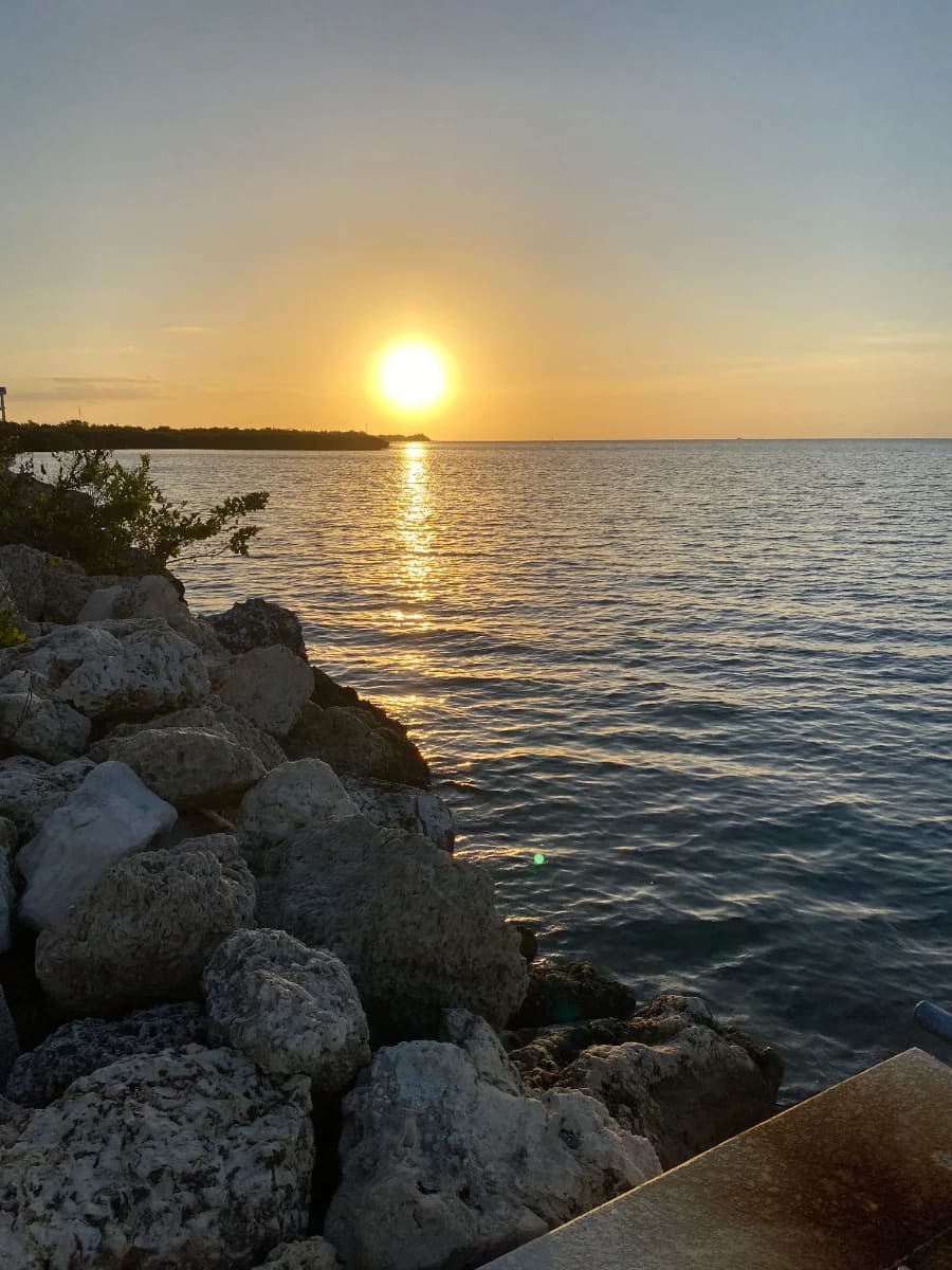 The sun setting over calm water beyond a rocky shoreline.