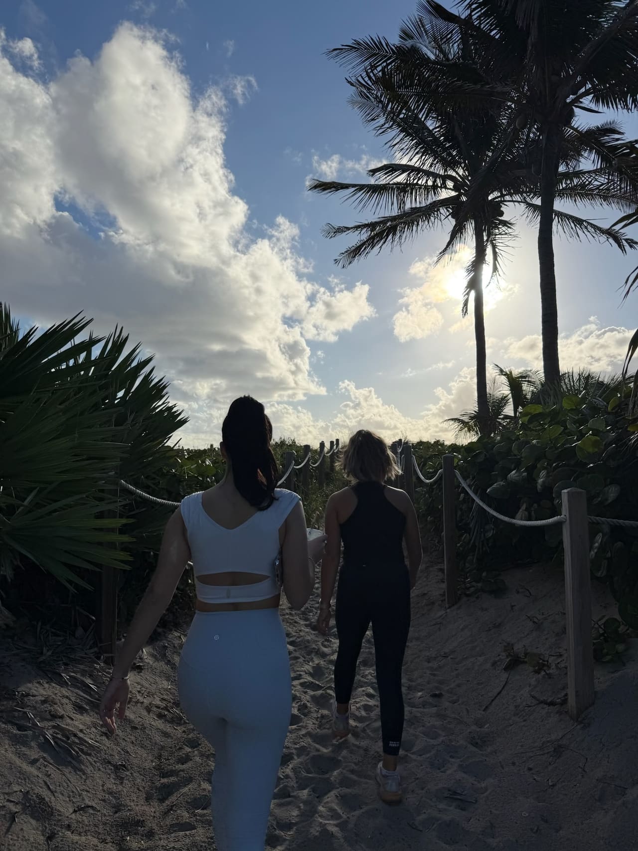 Two women walking a sandy palm-lined path to the beach in the morning sun.